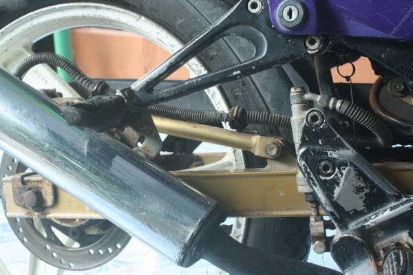 kr150เสื้อทอง