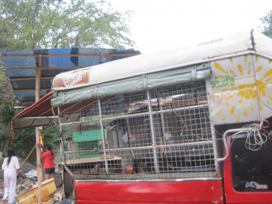 ขายหลังคาตาข่ายผ้าใบ ขายหลังคาตาข่ายผ้าใบ