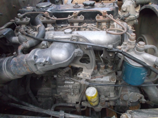 ขาย !! ISUZU NPR รุ่นเสื่ยสั่งลุย เปลี่ยนหัวตาหวาน!!!!!!