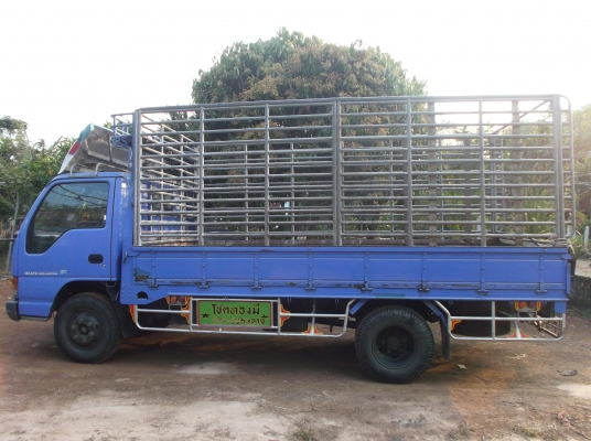 ขาย !! ISUZU NPR รุ่นเสื่ยสั่งลุย เปลี่ยนหัวตาหวาน!!!!!!