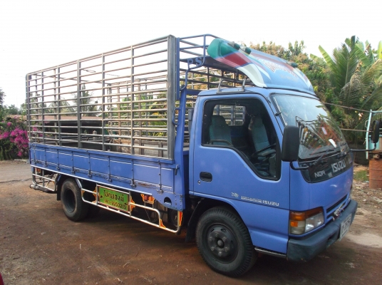 ขาย !! ISUZU NPR รุ่นเสื่ยสั่งลุย เปลี่ยนหัวตาหวาน!!!!!!