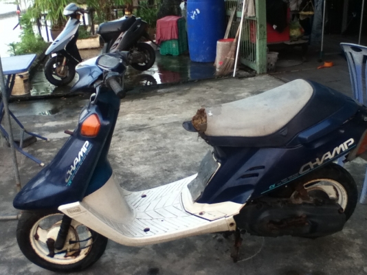 ขายรถป๊อบ 2 คัน Yamaha Champ / Honda dio AF 28 ราคา 5,000.-