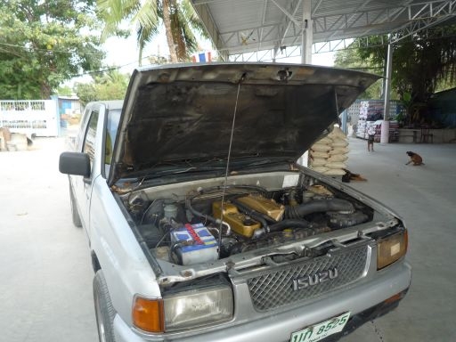 มังกร ปี 93 มังกร ปี 93