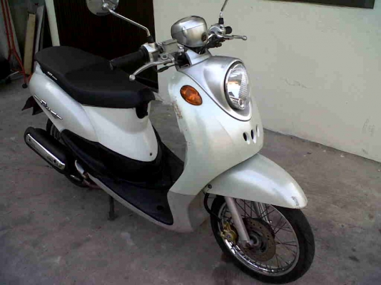 ขายฟีโน ปี50 สภาพเยื่ยม