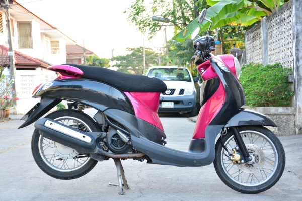 ขายฟีโน่สีม่วงดำ เอกสารโอนลอยครบชุด ขายฟีโน่สีม่วงดำ เอกสารโอนลอยครบชุด