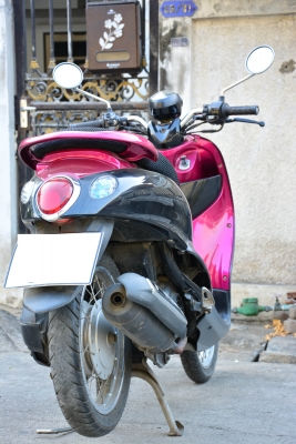 ขายฟีโน่สีม่วงดำ เอกสารโอนลอยครบชุด