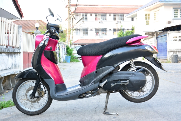 ขายฟีโน่สีม่วงดำ เอกสารโอนลอยครบชุด ขายฟีโน่สีม่วงดำ เอกสารโอนลอยครบชุด