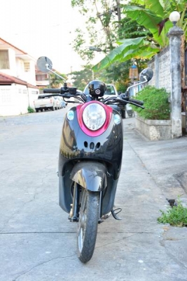 ขายฟีโน่สีม่วงดำ เอกสารโอนลอยครบชุด ขายฟีโน่สีม่วงดำ เอกสารโอนลอยครบชุด