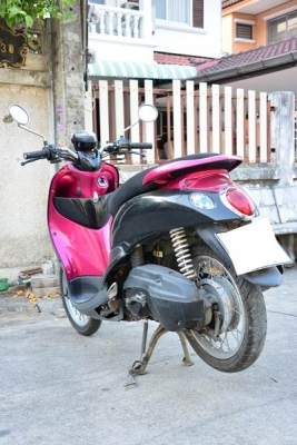 ขายฟีโน่สีม่วงดำ เอกสารโอนลอยครบชุด ขายฟีโน่สีม่วงดำ เอกสารโอนลอยครบชุด