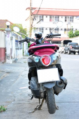 ขายฟีโน่สีม่วงดำ เอกสารโอนลอยครบชุด ขายฟีโน่สีม่วงดำ เอกสารโอนลอยครบชุด