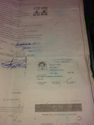 โซนิคปี45 โซนิคปี45