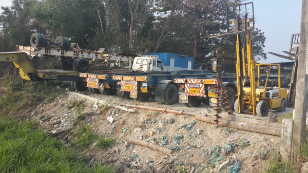 ขายหางก้างรุ่งเจริญมี4หาง