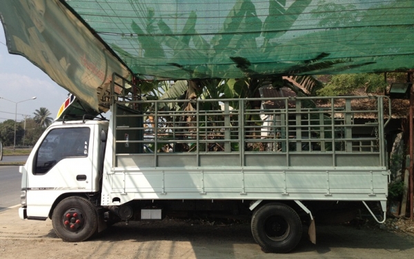 NKR 130  ปี2550  รถสวยพร้อมใช้งาน ไม่มีผุ