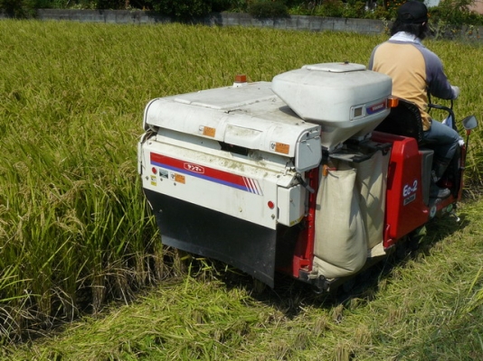 ขายรถเกี่ยวข้าว(ด่วน)พร้อมเทเลอร์