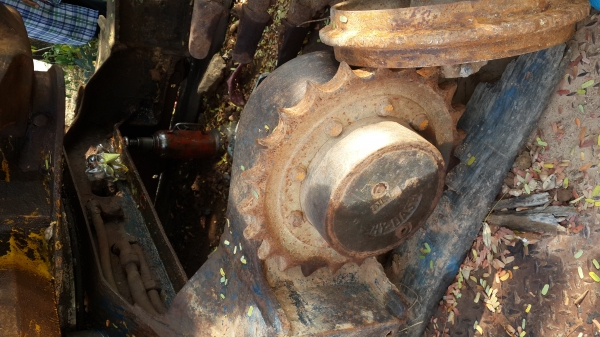 ขายตัวเดิน