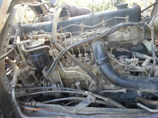 รถอีซูซุ 12 ล้อดั้ม FXZ 270 แรงม้า. ปี 51  ( ขายแม่ , ลุก )  สนใจติดต่อ 081 - 6079515