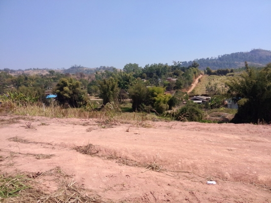 ขายที่ดินเขาค้อ ติดถนน 22 ไร่