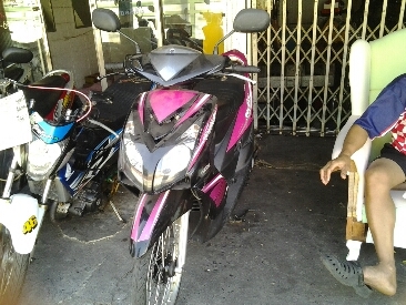 มีโอปี52