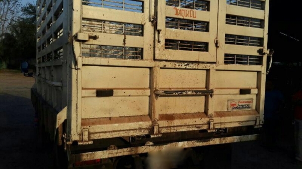 รถอีซูซุ 6 ล้อดั้ม 130 แรงม้า ปี 49.  สนใจติดต่อ 081 - 6079515