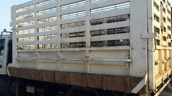 รถอีซูซุ 6 ล้อดั้ม 130 แรงม้า ปี 49.  สนใจติดต่อ 081 - 6079515