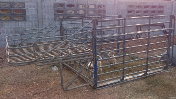 ขายคอกรถนิสสัน นาวาร่า