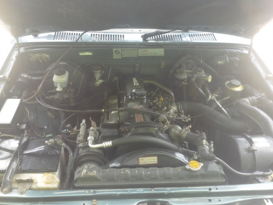 ขายไมตี้ ปี 38 ขายไมตี้ ปี 38