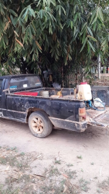 ไซโคลนถูกๆ เจ้าของฝากขาย ไซโคลนถูกๆ เจ้าของฝากขาย