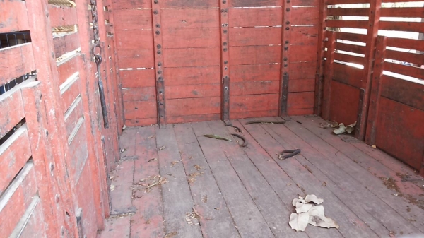 ***ขายแล้วครับขอบคุณ Truck2hand ขายแต๋น6ล้อช่วงล่างใหญ่ เครื่องKUBOTA ET11แรง เครื่องดีแรง ติดง่าย ช่วงล่าง คานหน้า+เฟืองท้าย KS เกียร์BU คัสซีหน้า5 สโลวกลาง ยางดี6เส้น กระบะพื้นไม้คอกไม้สูงสภาพสวย ไม่ผุไม่หัก พร้อมใช้ พร้อมลุยงาน เอกสารเล่มทะเบียนครบ ราค