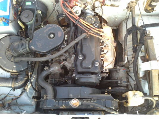 ขายซูซูกิ คาริเบี้ยน ขายซูซูกิ คาริเบี้ยน