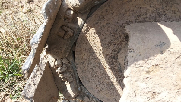 **870,000 บ.ต่อรอง**ขาย แบคโฮ KOBELCO Mark3 sk120 ไฟฟ้าเต็ม เครื่องเดิมปั้มเดิม แน่นดี แรง ช่วงล่างดี แทรกดีโรลเลอร์ดี โซ่ดี เอวแน่นทำงานดีไม่โหลด แอร์เย็น สีสันพอใช้ รถทำงานปกติ เอกสารเล่มทะเบียน พร้อมใช้ พร้อมลุยงาน ราคาต่อรองได้เด้อ พี่น้องครับ