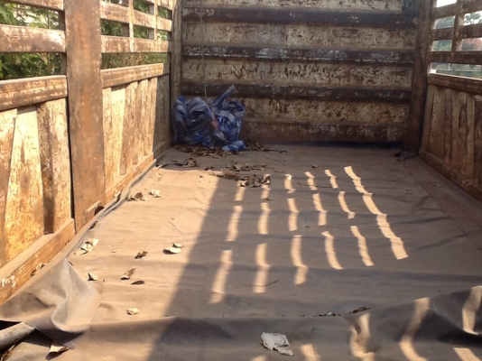 ขอบคุณพี่น้องจากสารคามครับ ขอบคุณทีมงานT2Hครับขายครับ10ล้อเพลาเดียวไม่ดั้มเครื่อง6d14แคชชีงามมากๆเครื่องไม่มีไอพร้อมลุยงานทะเบียนเต็มพร้อมโอน