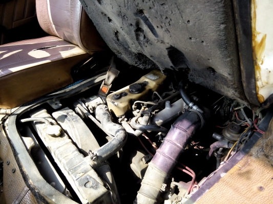 ขายรถตู้ Isuzu Buddy เครื่องช่วงล่างดีมากๆ ครับ