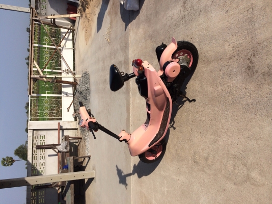 ฮอนด้าzook AF26 50 cc.