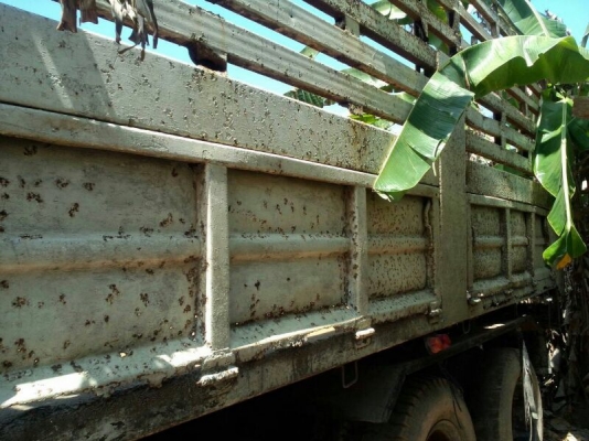 รถฮีโน่ 10 ล้อดั้ม F17  168 แรงม้า.  สนใจติดต่อ 081 - 6079515