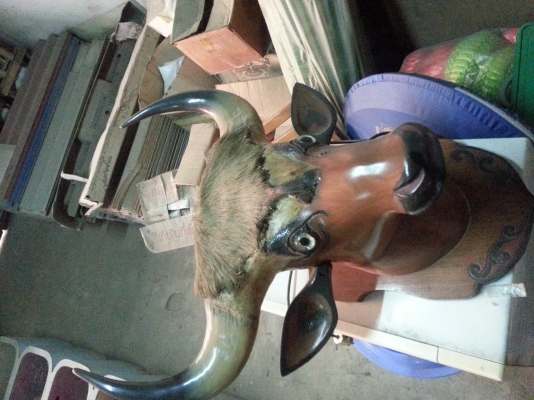 ขายเขากระทิง ของโบราณ ของสะสม ขายเขากระทิง ของโบราณ ของสะสม