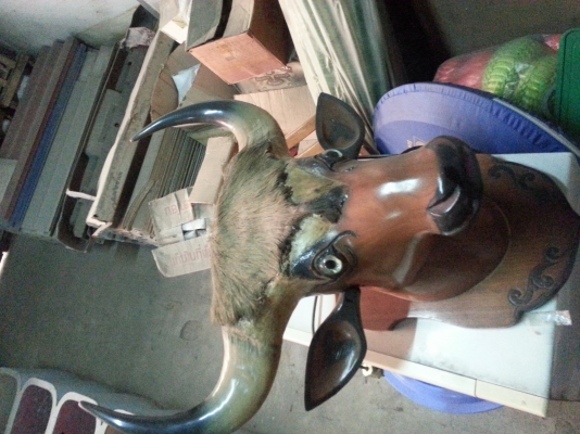 ขายเขากระทิง ของโบราณ ของสะสม ขายเขากระทิง ของโบราณ ของสะสม