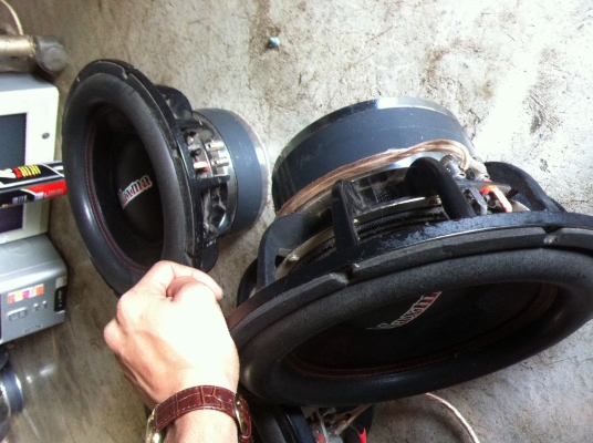 ขาย ดอกชับ12นิ้ว ของmaxma