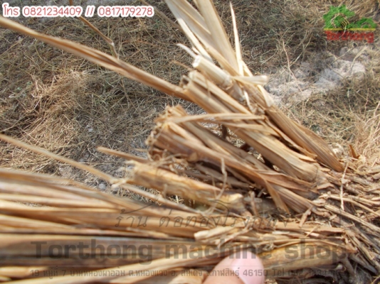 ลิปเปอร์รถไถขนาดเล็ก 21-24แรง ใส่ปุ๋ย สับใบอ้อย เข้าร่องอ้อย พร้อมใส่ปุ๋ย คลิก!