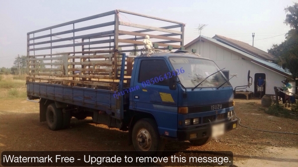 ขายดาว์น Isuzu NPR เครื่อง 110 แรง กระบะคาร์โก้ 5.5 เมตร ส่งต่อ 52 งวดๆ ละ 6,948 บาท ไฟแนนซ์ศรีสวัสด์