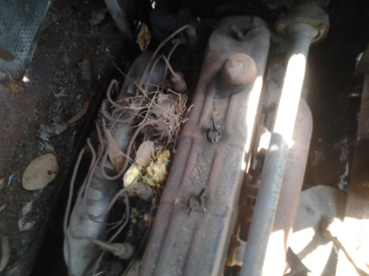 ขายรถบัสKMฮีโนตามสภาพทะเบียนแจ้งจอดเอาทำรถดัม ขายรถบัสKMฮีโนตามสภาพทะเบียนแจ้งจอดเอาทำรถดัม