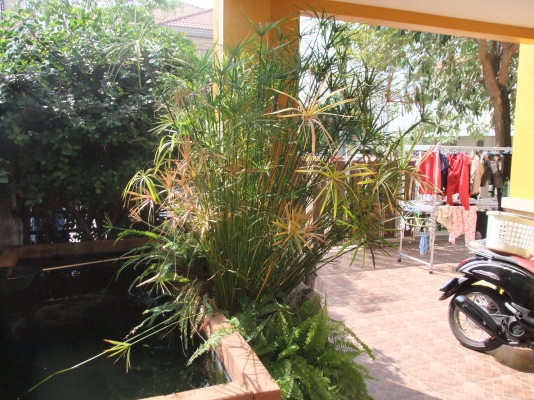 ขายบ้านสวย ลำลูกกาคลอง4