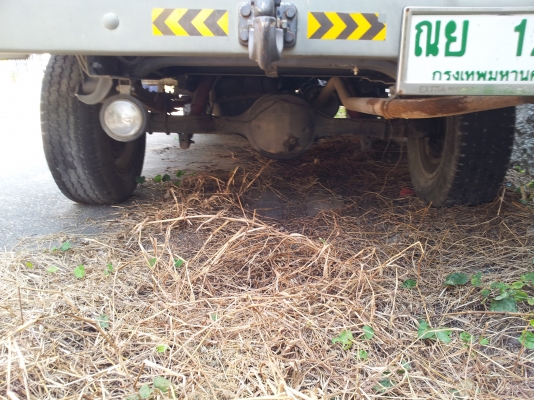 ขาย  FORD  F100