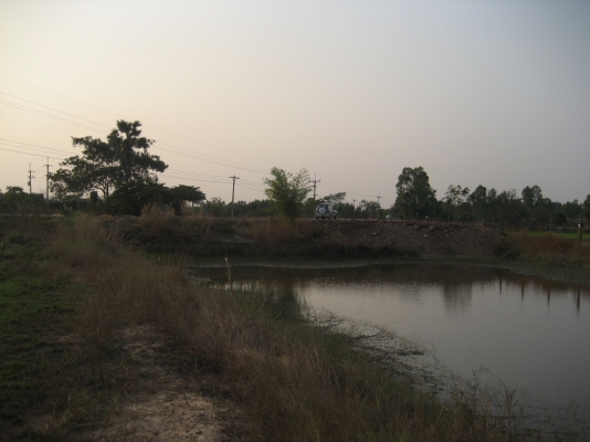 ขายที่ดินติดถนน ออกจาก 4 แยกยางตลาด โฉนด 08