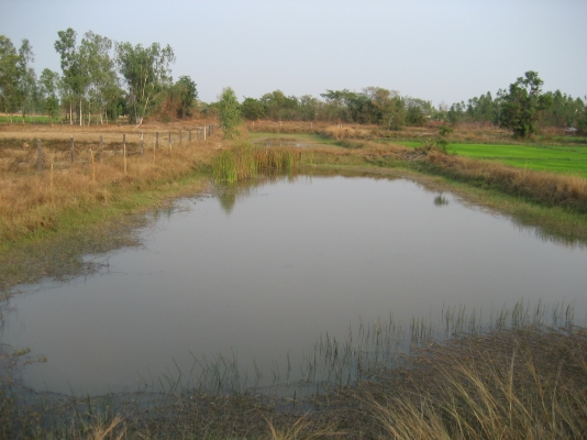 ขายที่ดินติดถนน ออกจาก 4 แยกยางตลาด โฉนด 08