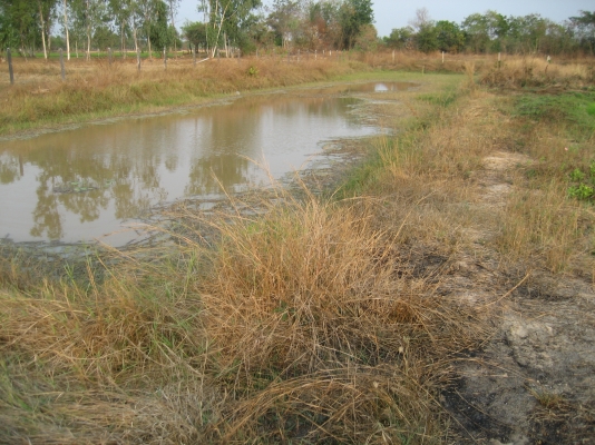 ขายที่ดินติดถนน ออกจาก 4 แยกยางตลาด โฉนด 08