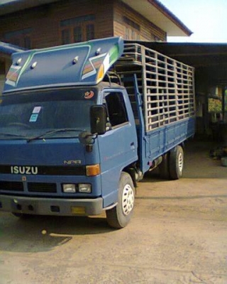 ขายด่วน NPR115 แรง  เสี่ยสั่งลุย  ปี 2538   รถพร้อมใช้งานบางๆๆติดแอร์ พวงมาลัยพาเวอร์ แล้วด้วย