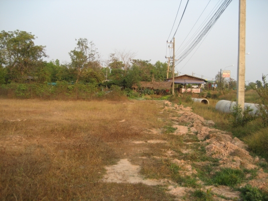 ขายที่ดินติดถนน ออกจาก 4 แยกยางตลาด โฉนด 20  ยังไม่ถม