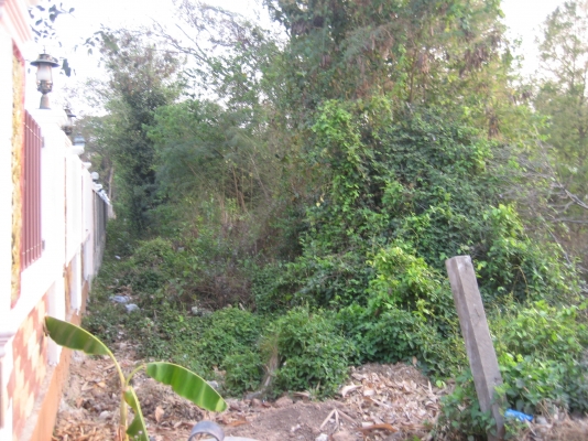 ขายที่ดินติดถนน ออกจาก 4 แยกยางตลาด โฉนด 20  ยังไม่ถม