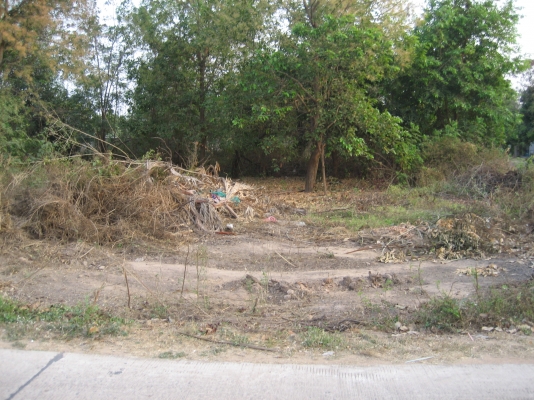 ขายที่ดินติดถนน ออกจาก 4 แยกยางตลาด โฉนด 20  ยังไม่ถม