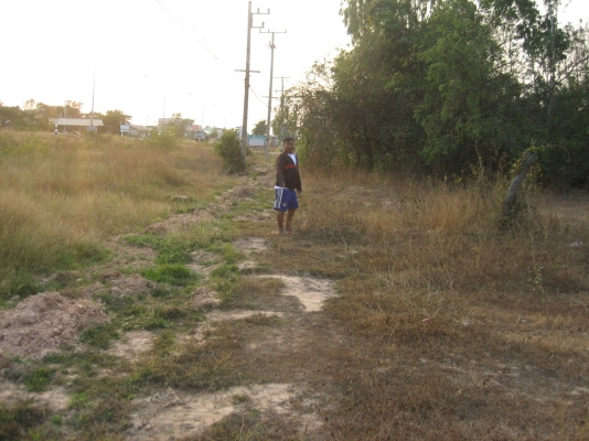 ขายที่ดินติดถนน ออกจาก 4 แยกยางตลาด โฉนด 20  ยังไม่ถม